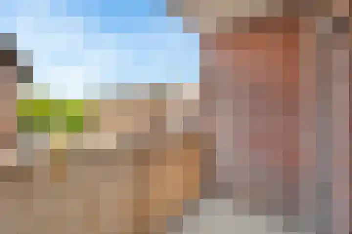 Soeverein 52 Amersfoort thumbnail 21