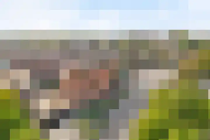 Soeverein 52 Amersfoort thumbnail 4