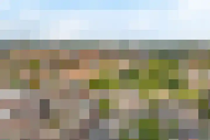 Soeverein 52 Amersfoort thumbnail 5