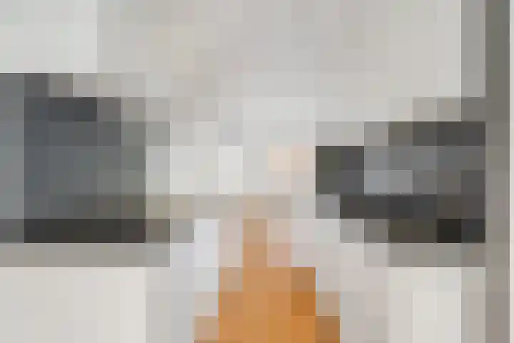 Soeverein 52 Amersfoort thumbnail 9