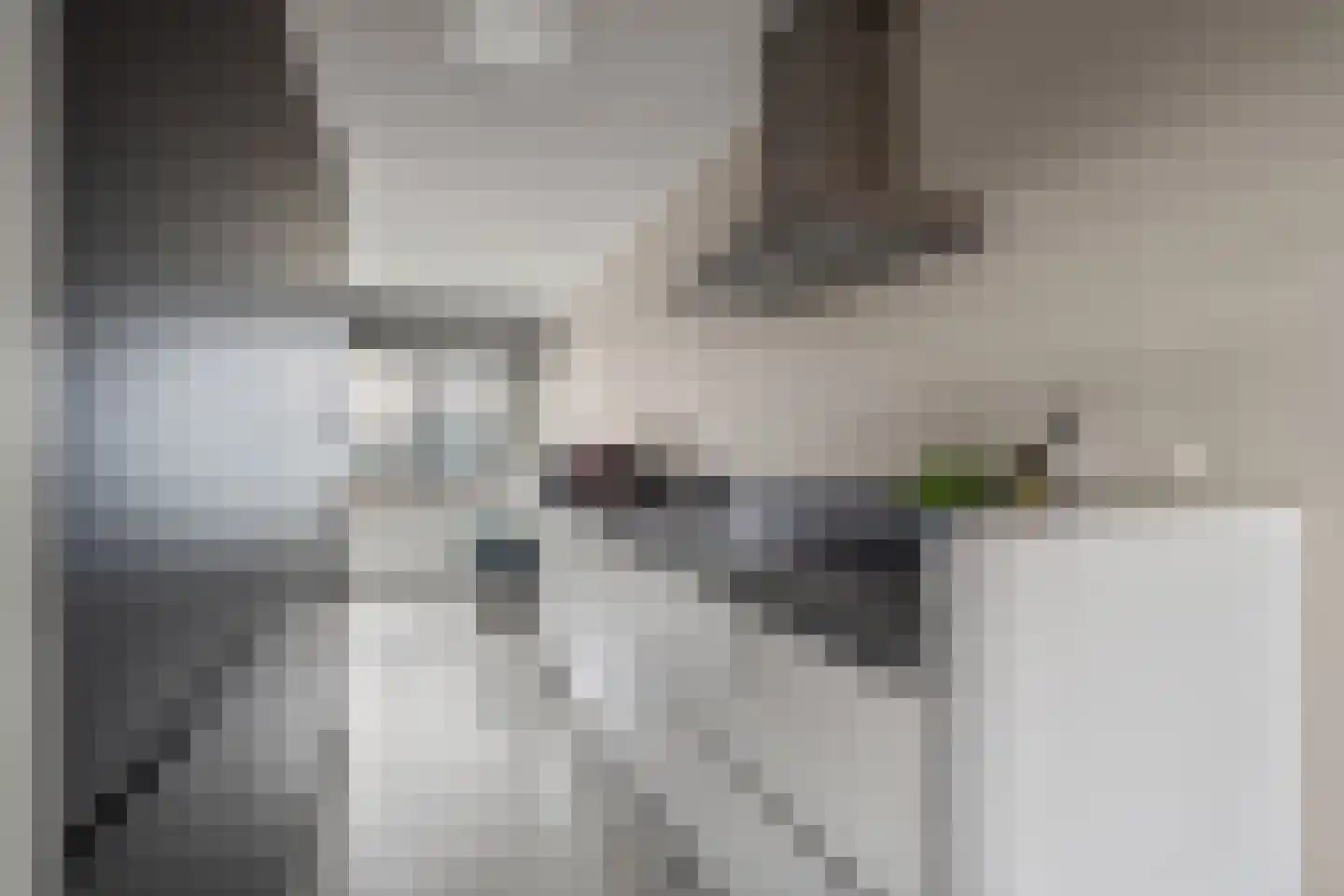 Soeverein 78 Amersfoort thumbnail 15