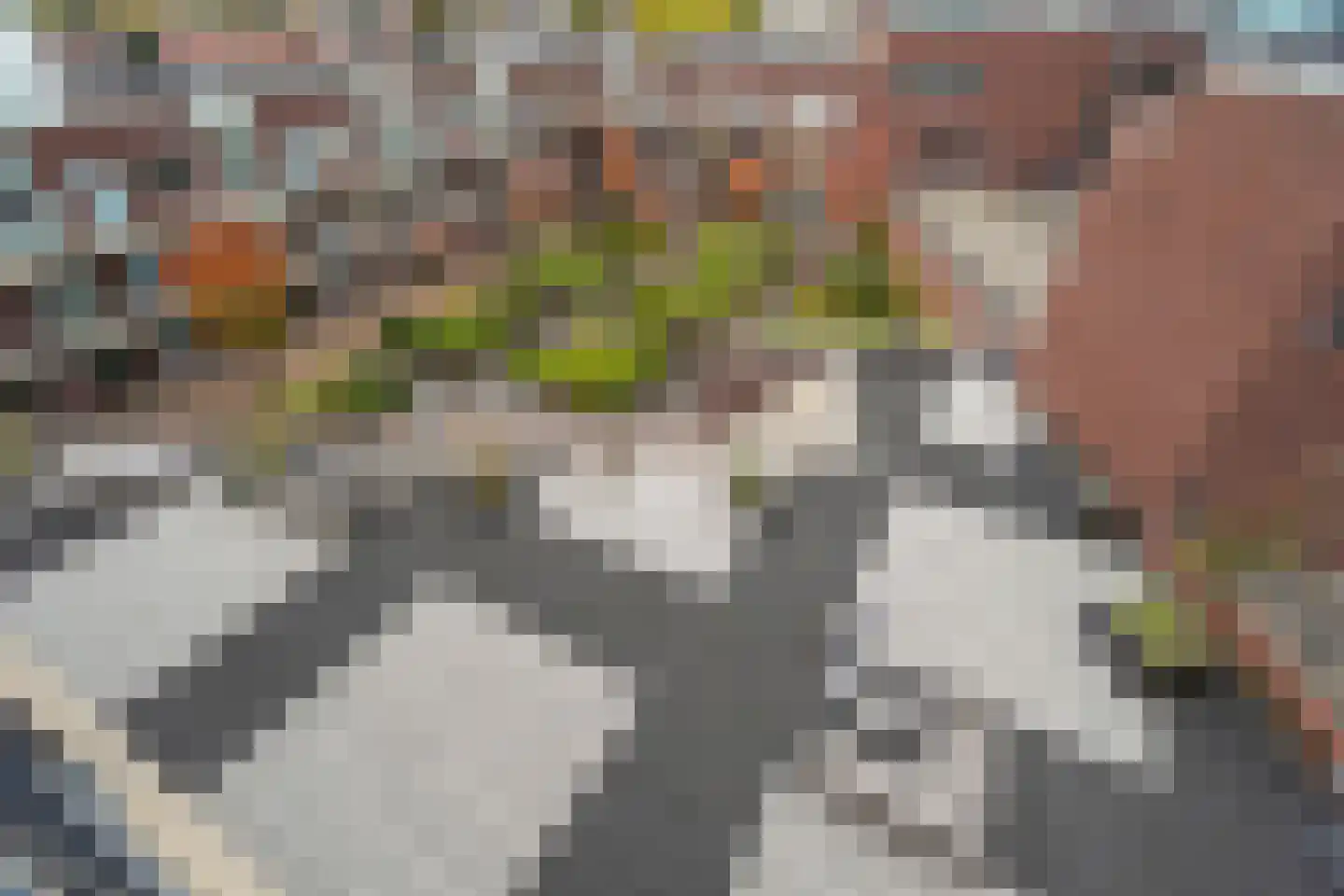 Soeverein 78 Amersfoort thumbnail 36
