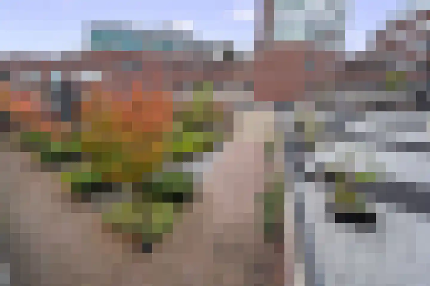 Soeverein 78 Amersfoort thumbnail 37
