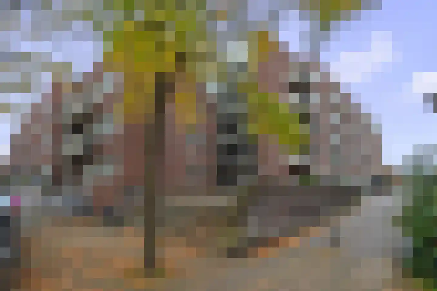 Soeverein 78 Amersfoort thumbnail 40