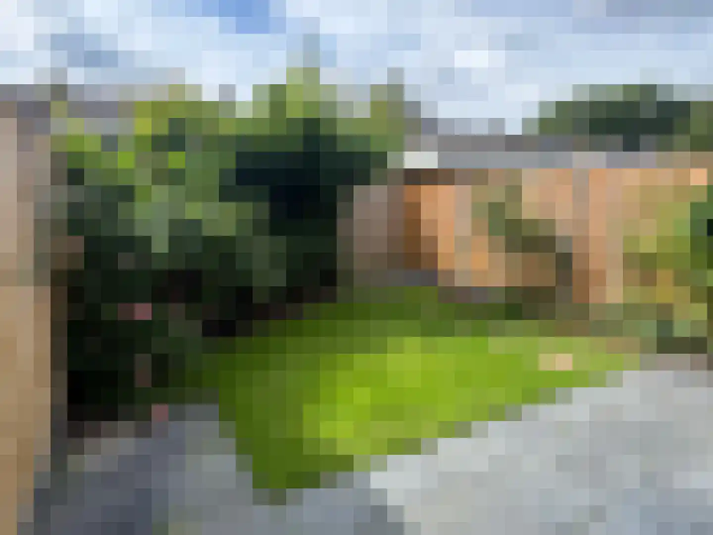 Soevereinhof 15 Valkenswaard thumbnail 13