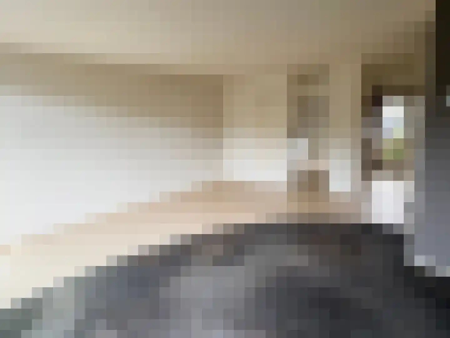 Soevereinhof 15 Valkenswaard thumbnail 4