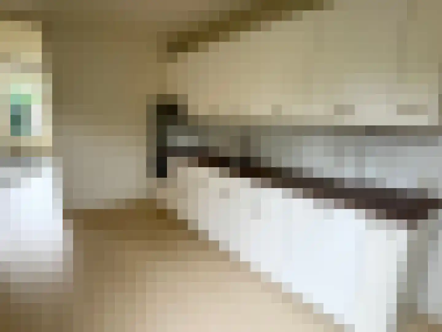 Soevereinhof 15 Valkenswaard thumbnail 6