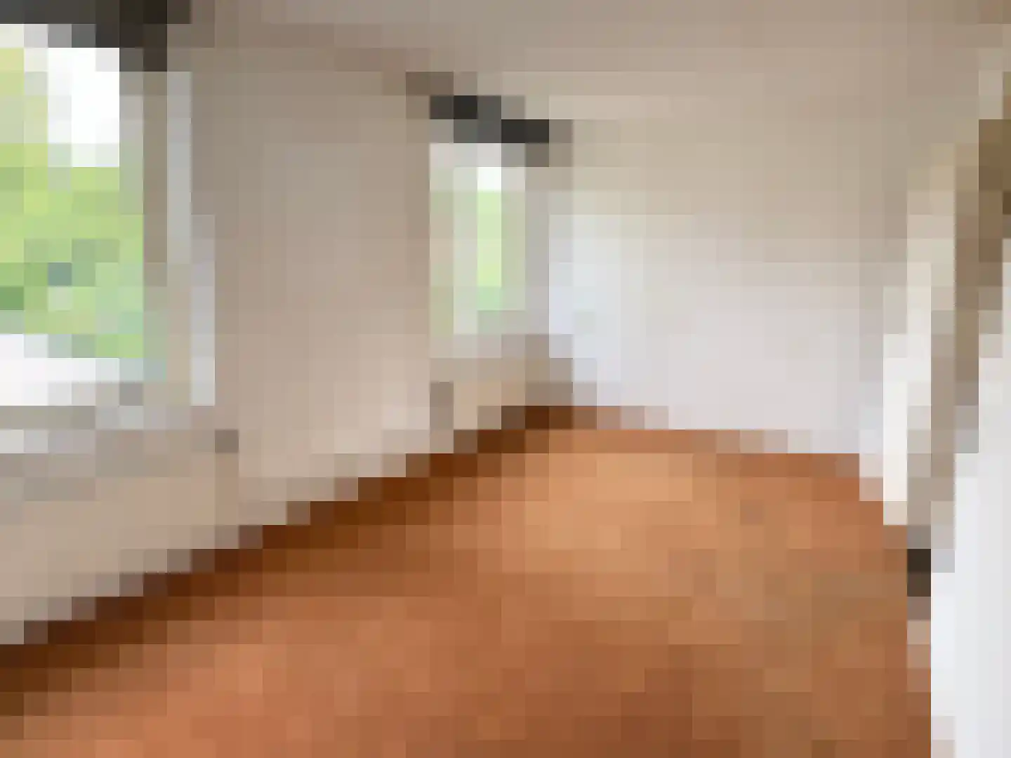 Soevereinhof 15 Valkenswaard thumbnail 7