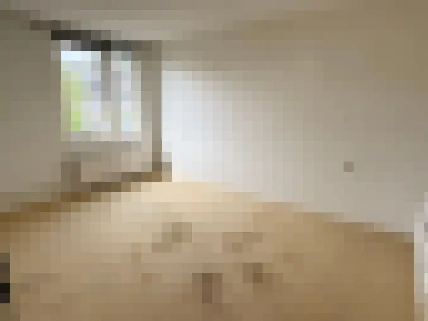 Soevereinhof 15 Valkenswaard thumbnail 8