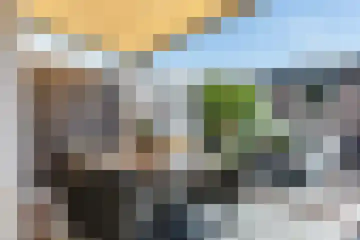 Soevereinhof 16 Valkenswaard thumbnail 29