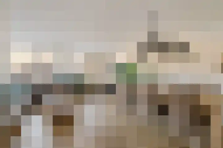 Soevereinhof 22 Valkenswaard thumbnail 6