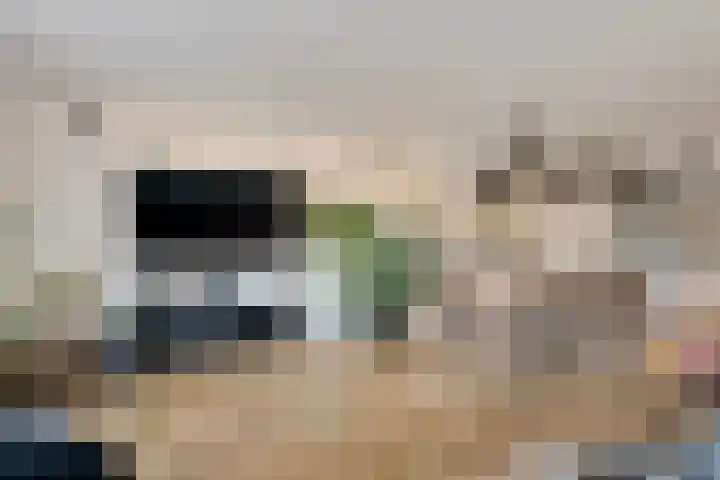Soevereinhof 22 Valkenswaard thumbnail 7
