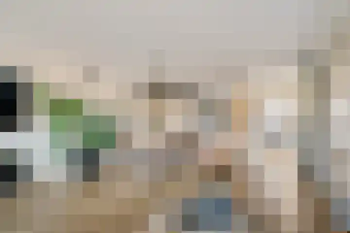 Soevereinhof 22 Valkenswaard thumbnail 8