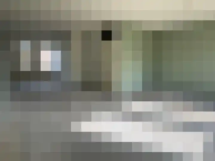 Soevereinhof 3 Valkenswaard thumbnail 4