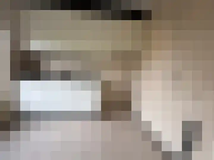 Soevereinhof 3 Valkenswaard thumbnail 6