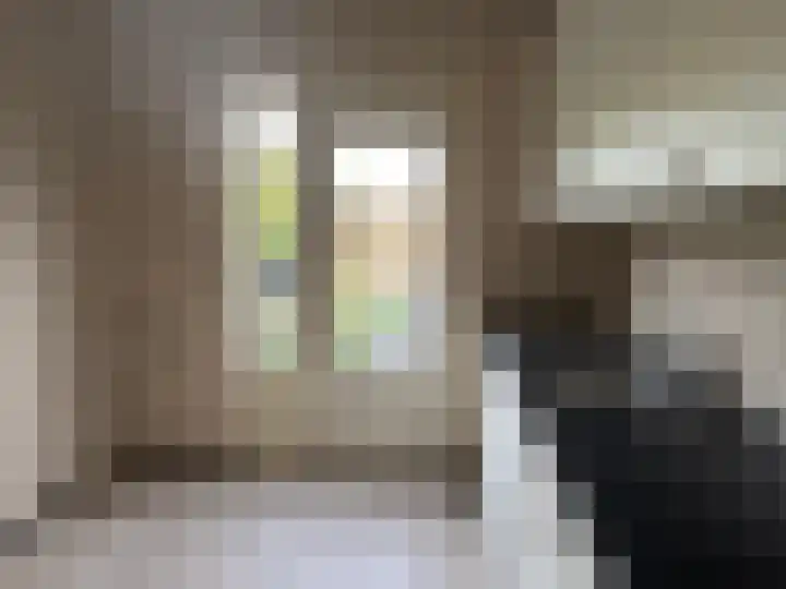 Soevereinhof 3 Valkenswaard thumbnail 7