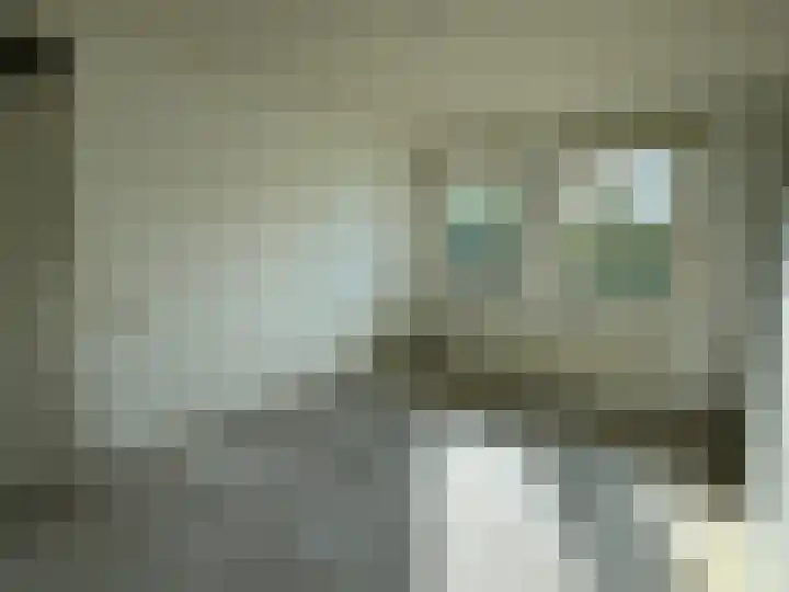 Soevereinhof 3 Valkenswaard thumbnail 8