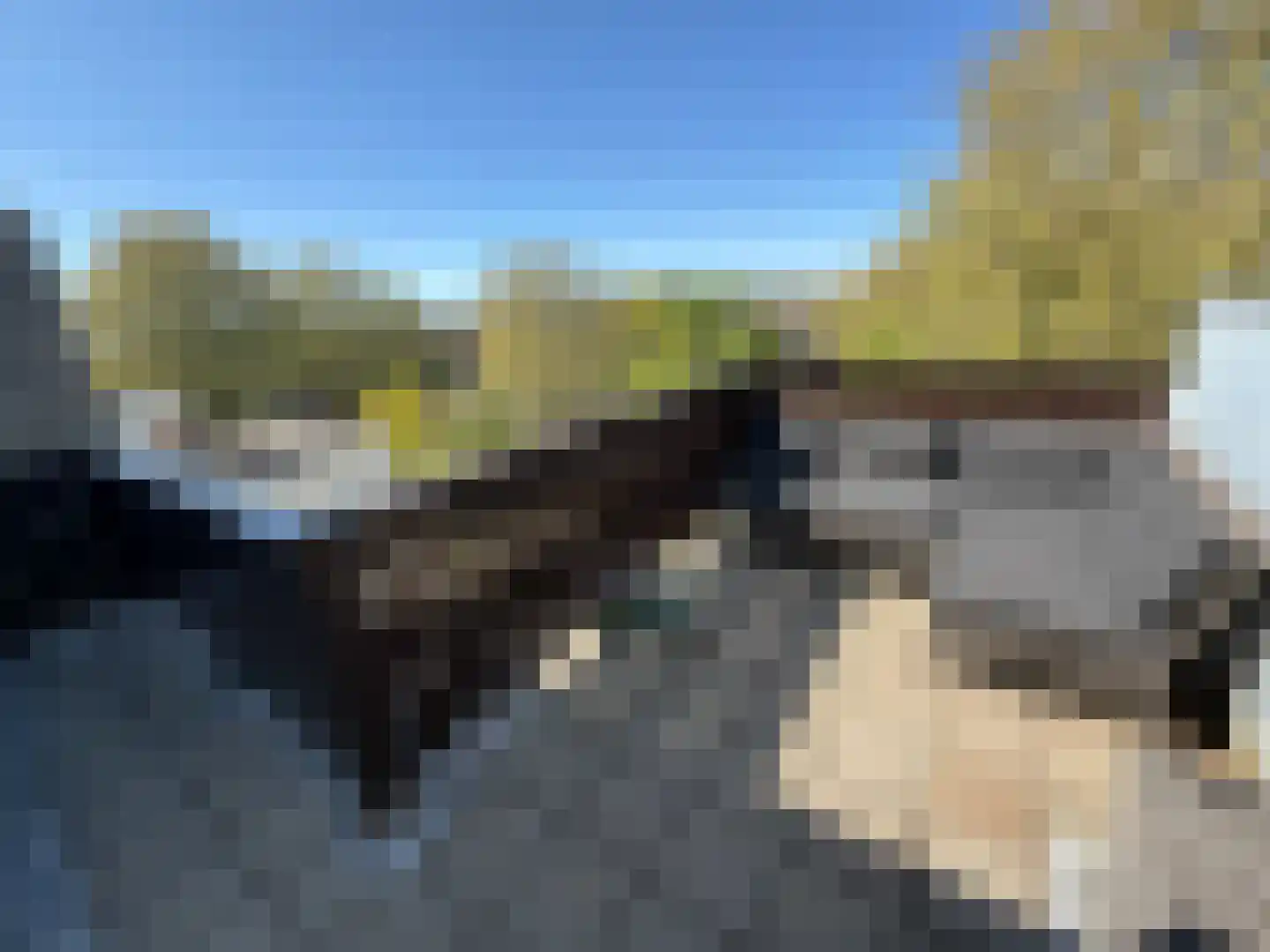 Photo of Sofia Zulver