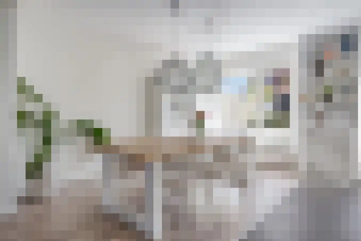Sofiastraat 8 Sint-Oedenrode thumbnail 15