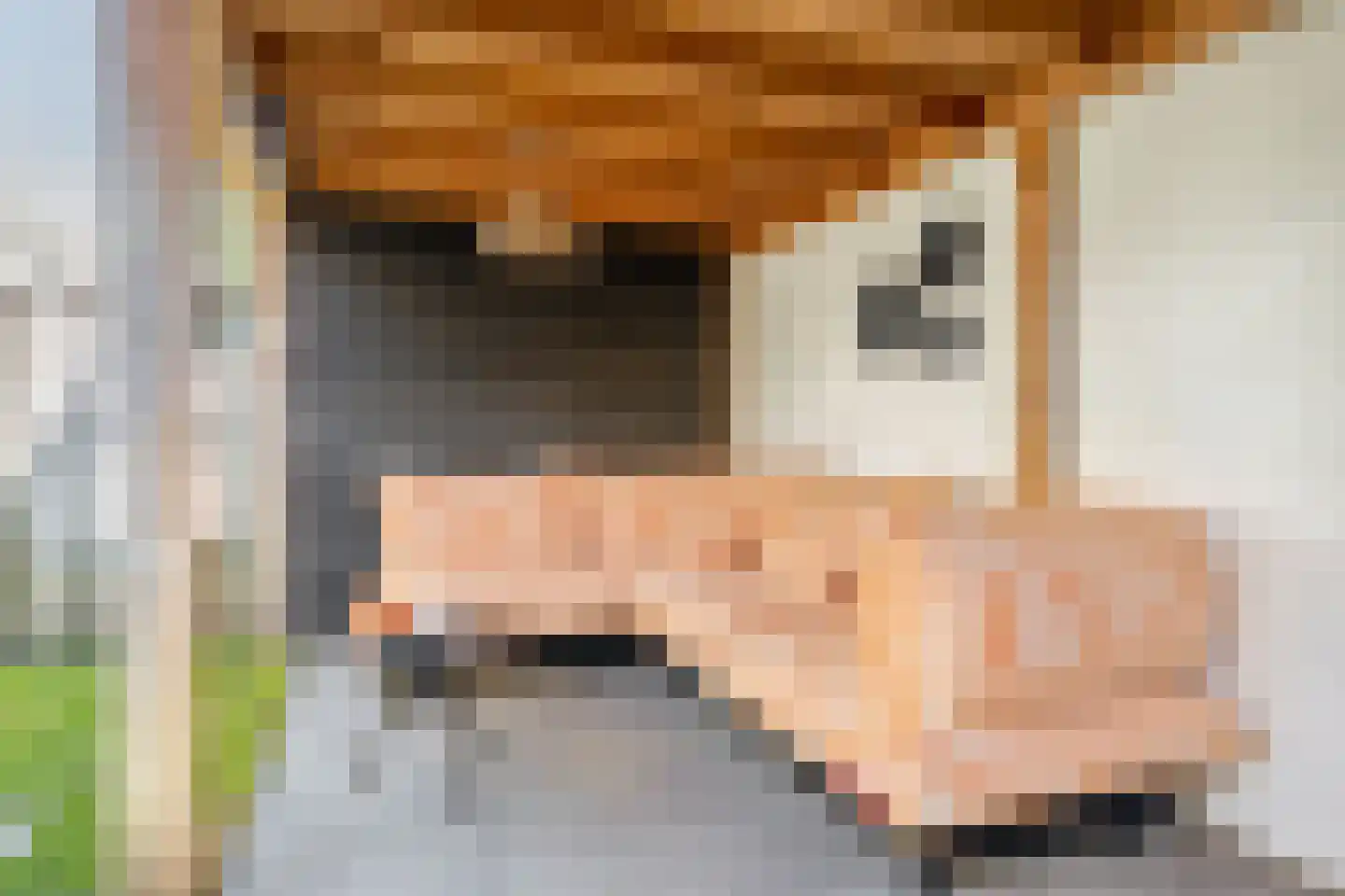Sofiastraat 8 Sint-Oedenrode thumbnail 34
