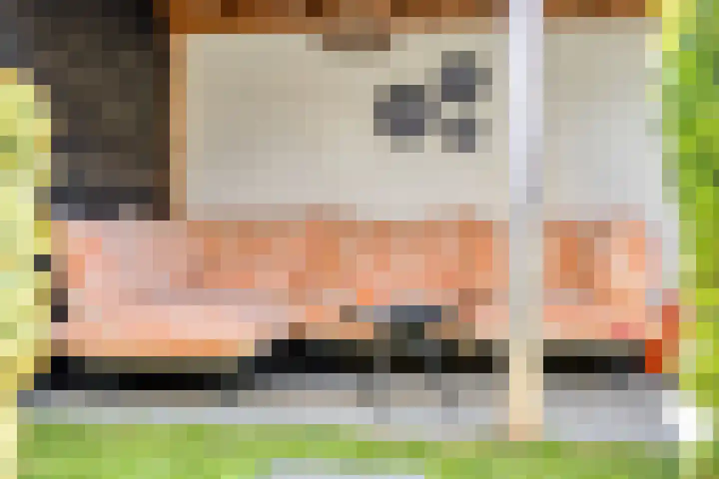 Sofiastraat 8 Sint-Oedenrode thumbnail 4