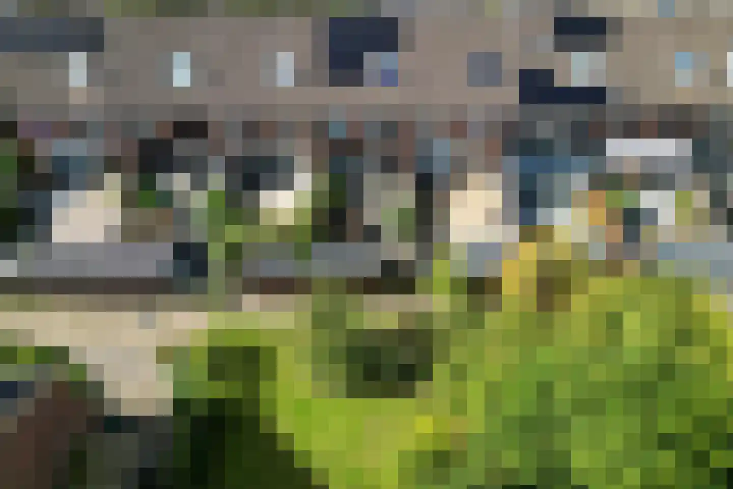 Softbalpad 24 Hellevoetsluis thumbnail 29