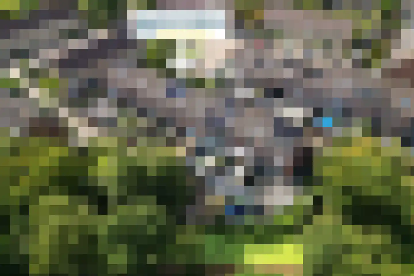Softbalpad 24 Hellevoetsluis thumbnail 7