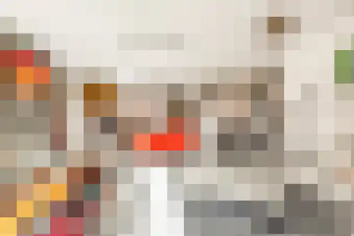 Sokkerwei 10 Castricum thumbnail 16