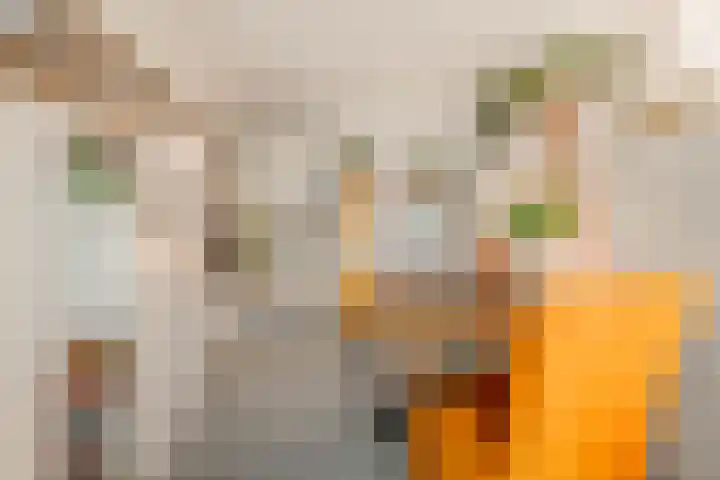Sokkerwei 10 Castricum thumbnail 20
