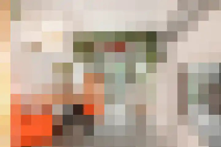 Sokkerwei 10 Castricum thumbnail 22