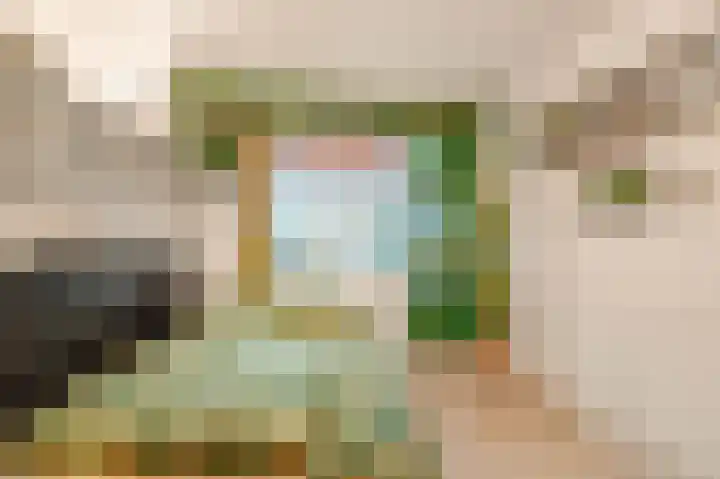Sokkerwei 10 Castricum thumbnail 23