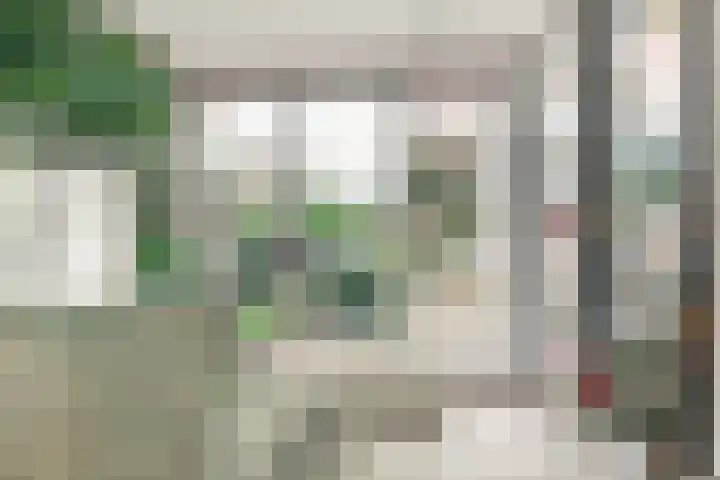 Sokkerwei 10 Castricum thumbnail 24