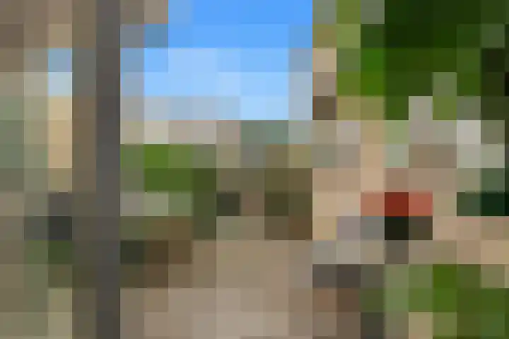 Sokkerwei 10 Castricum thumbnail 27