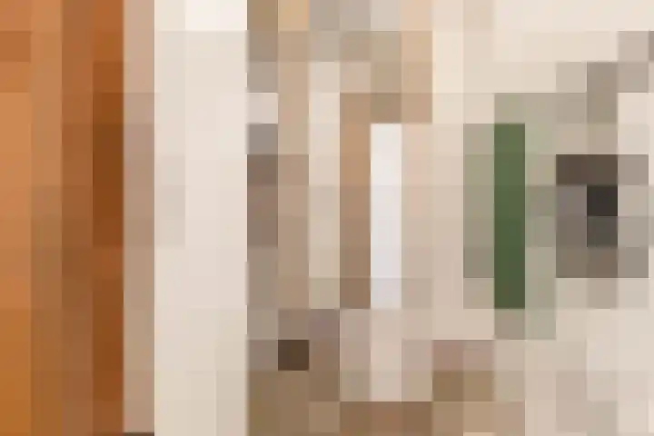 Sokkerwei 10 Castricum thumbnail 33