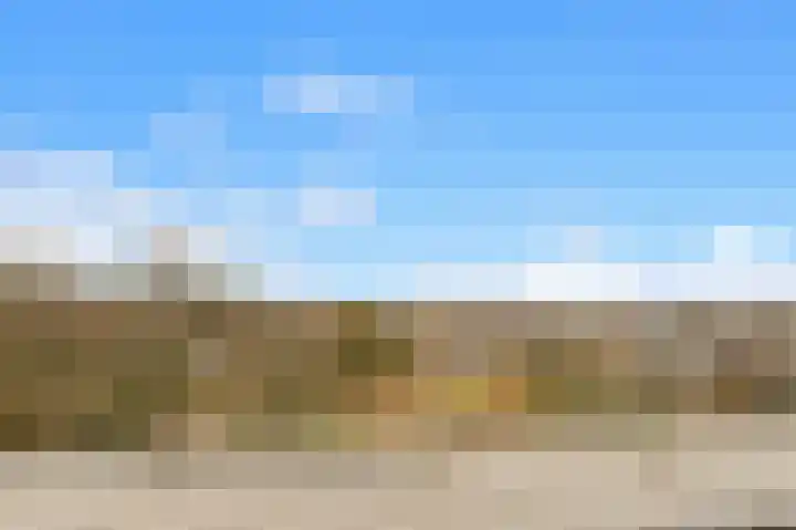 Sokkerwei 10 Castricum thumbnail 38