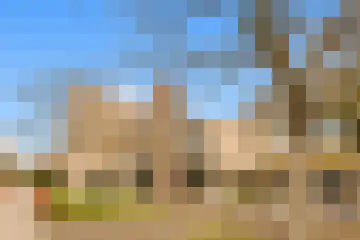 Sokkerwei 10 Castricum thumbnail 39