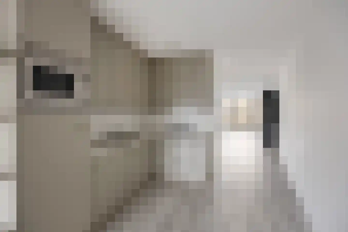 Sokkerwei 22 Castricum thumbnail 10