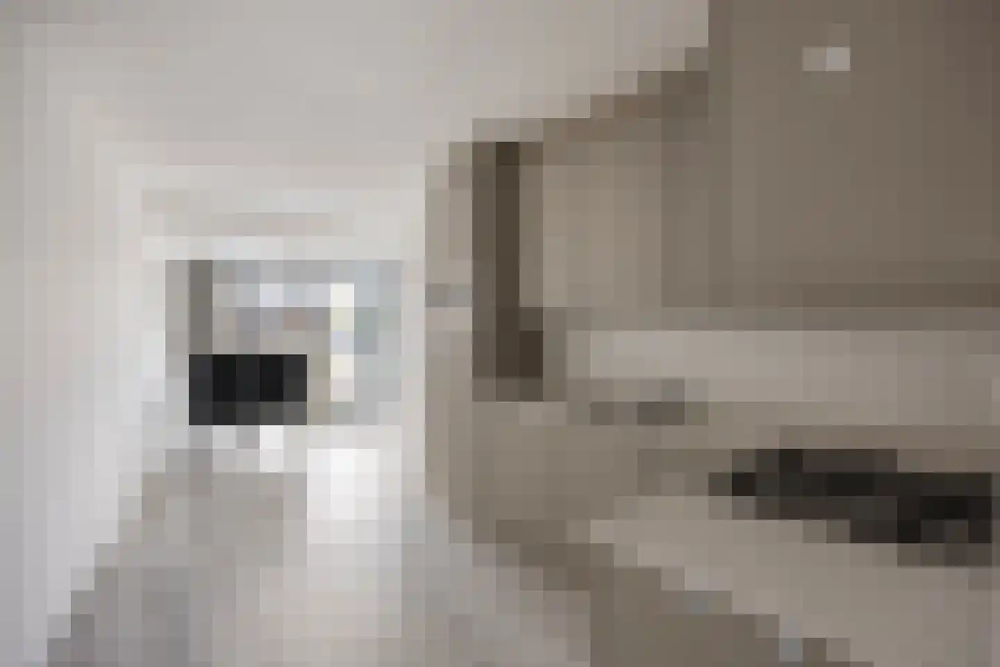 Sokkerwei 22 Castricum thumbnail 11