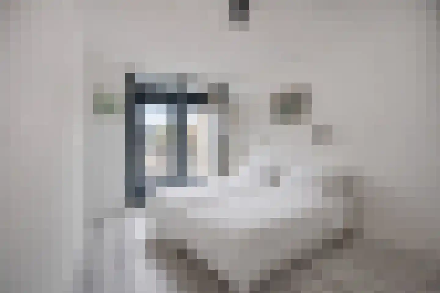 Sokkerwei 22 Castricum thumbnail 18
