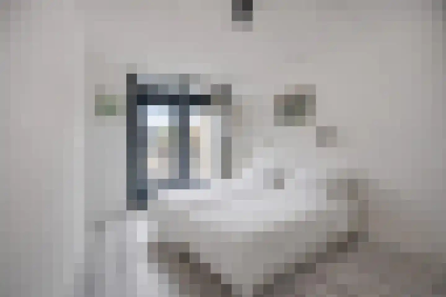 Sokkerwei 22 Castricum thumbnail 18
