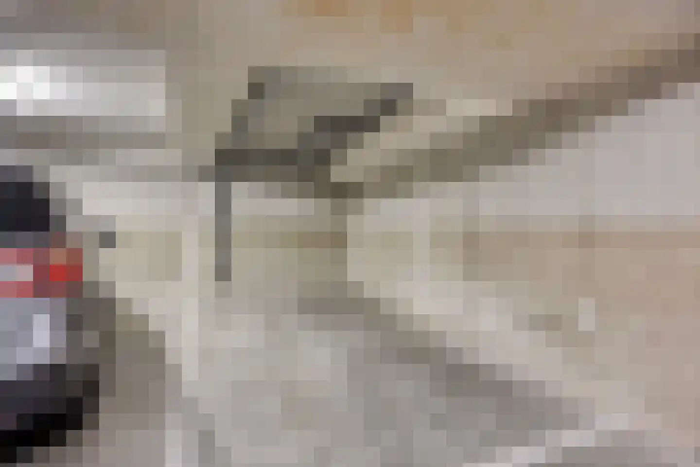 Sokkerwei 22 Castricum thumbnail 31