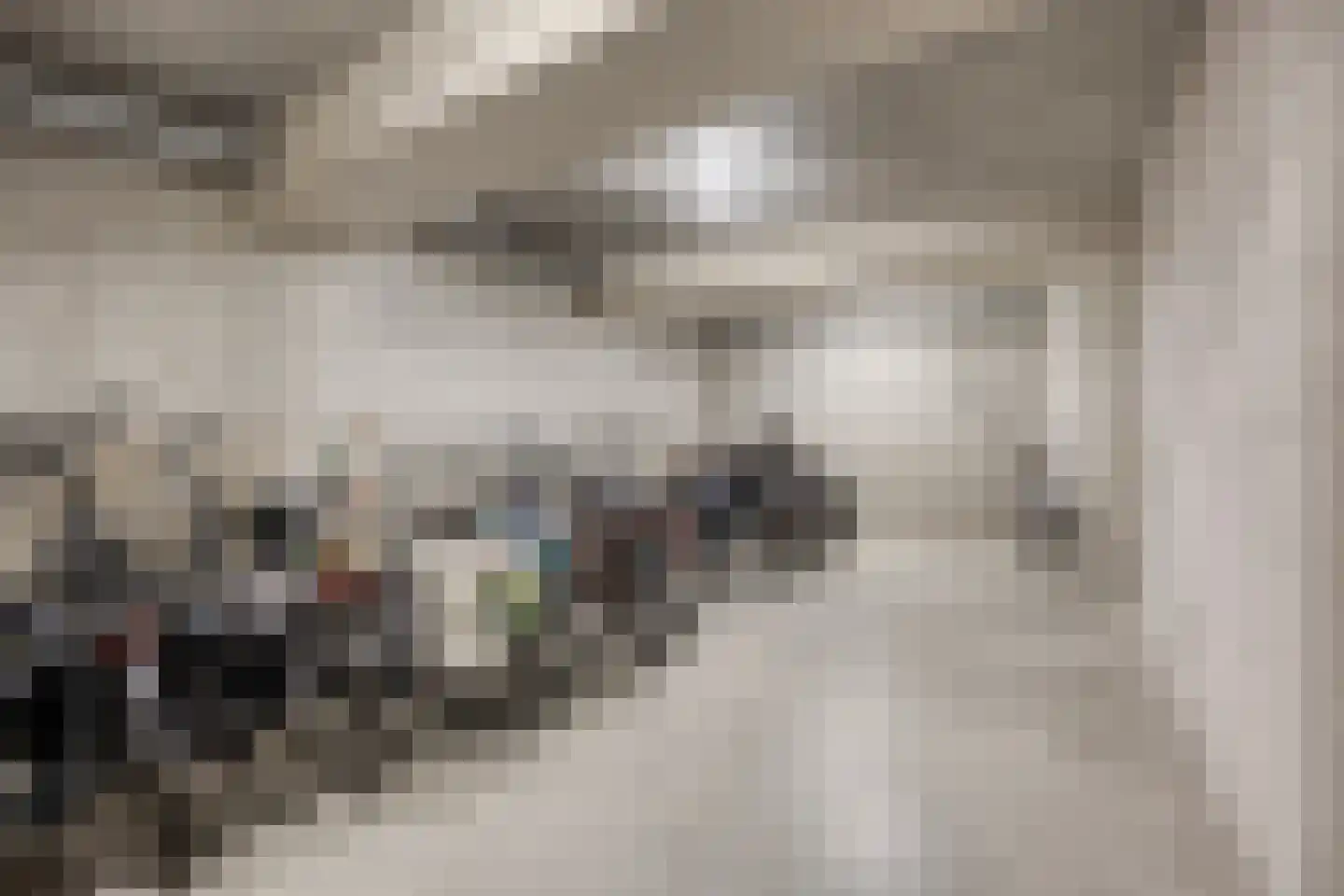 Sokkerwei 22 Castricum thumbnail 33