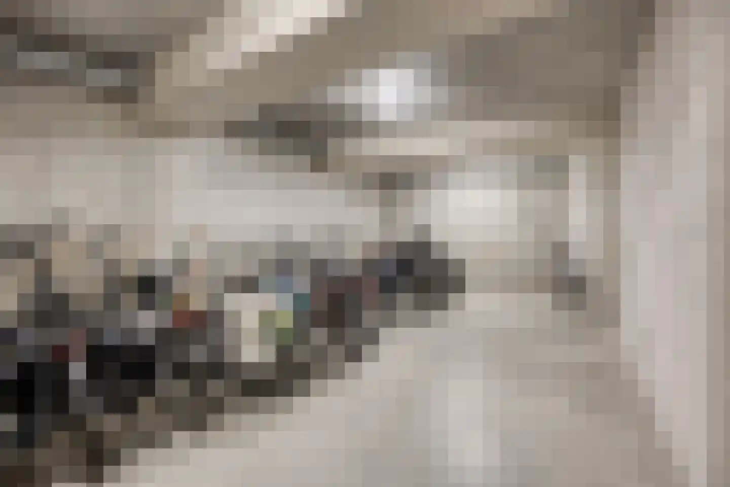 Sokkerwei 22 Castricum thumbnail 33