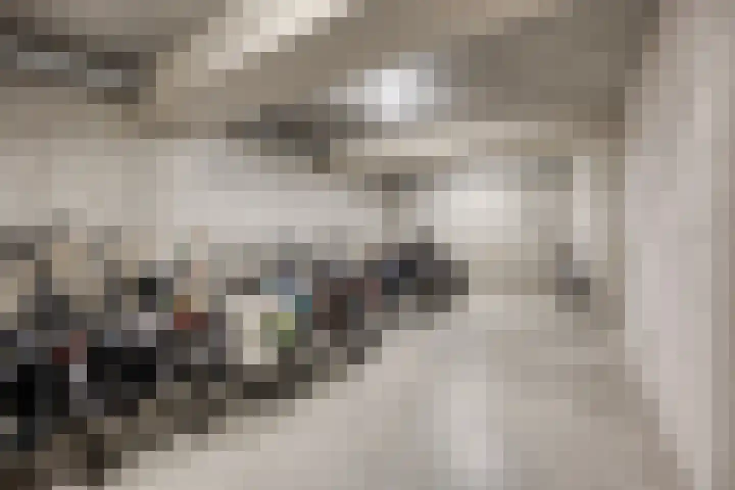 Sokkerwei 22 Castricum thumbnail 33