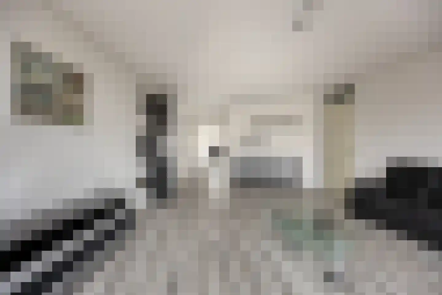 Sokkerwei 22 Castricum thumbnail 9