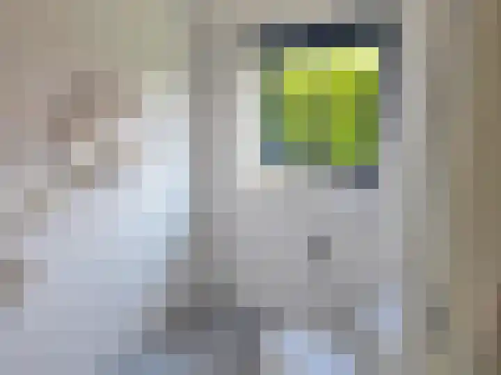 Solcamastraat 30 11 Sumar thumbnail 16
