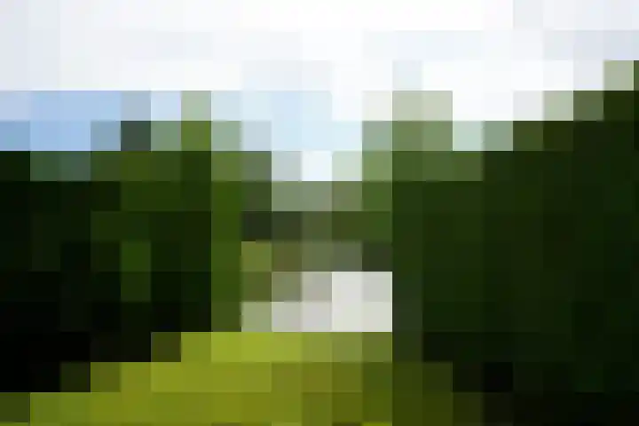Solcamastraat 30 11 Sumar thumbnail 6