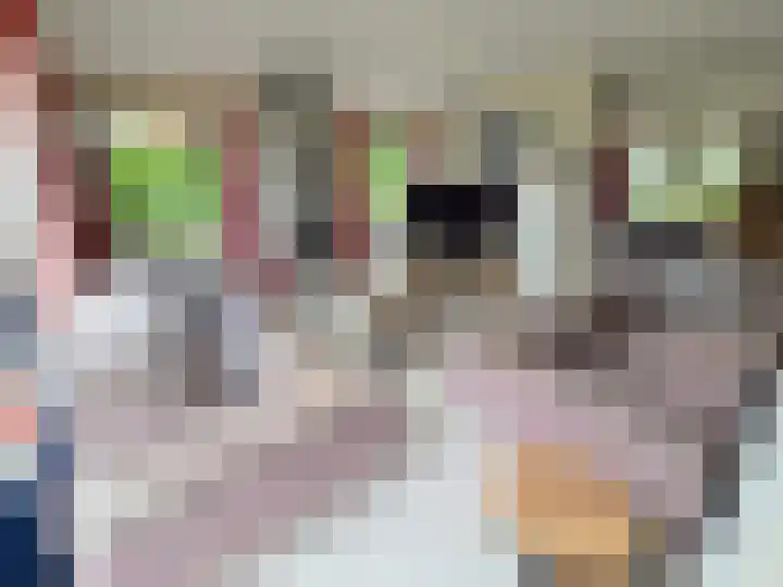 Solcamastraat 30 11 Sumar thumbnail 8