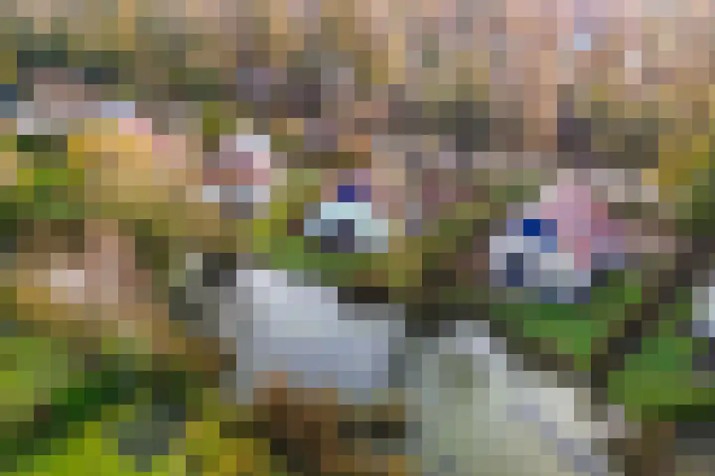 Solcamastraat 30 5 Sumar thumbnail 29