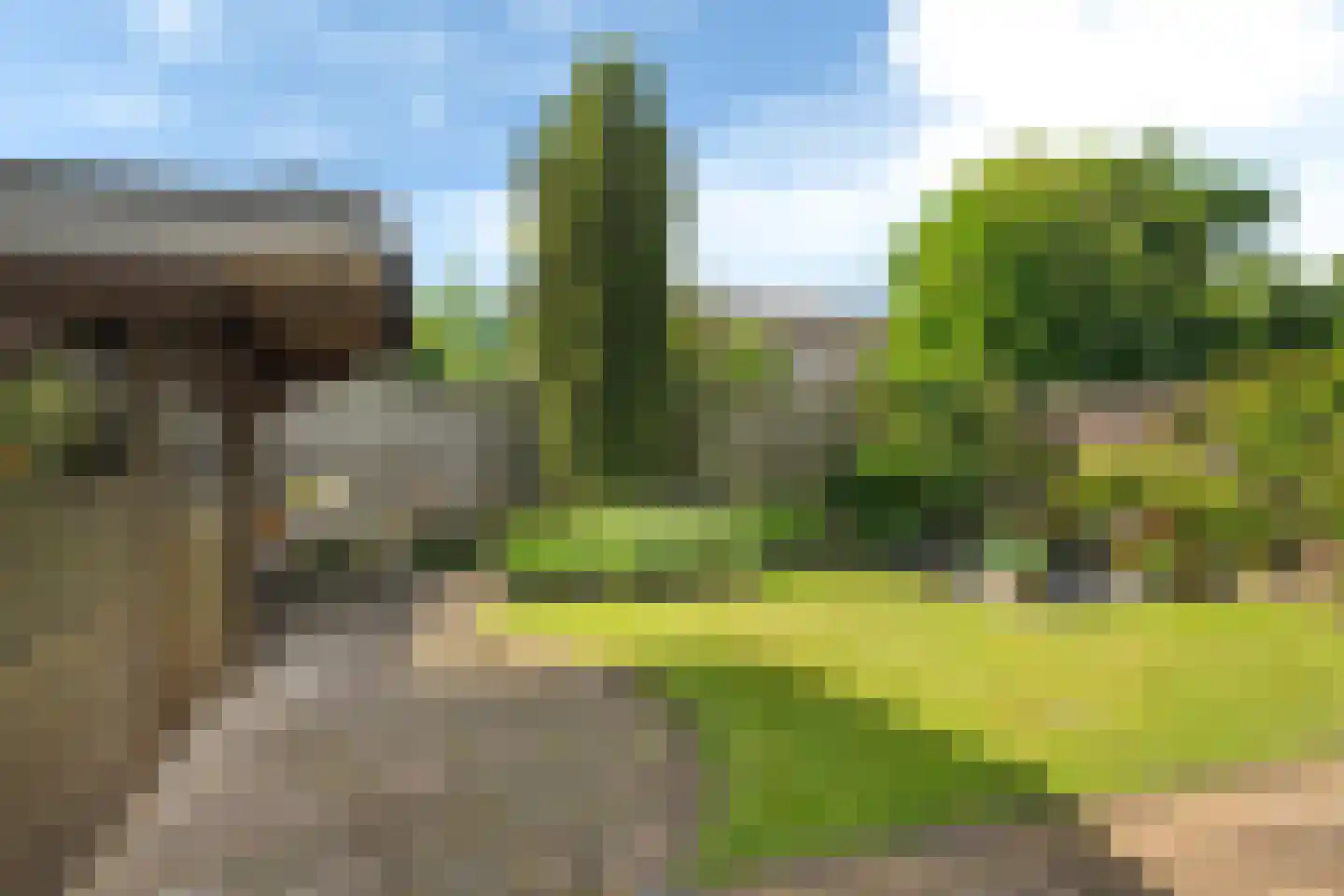 Solckamastins 12 Leeuwarden thumbnail 19